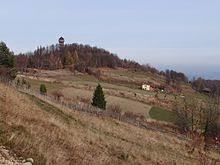 Koziarz